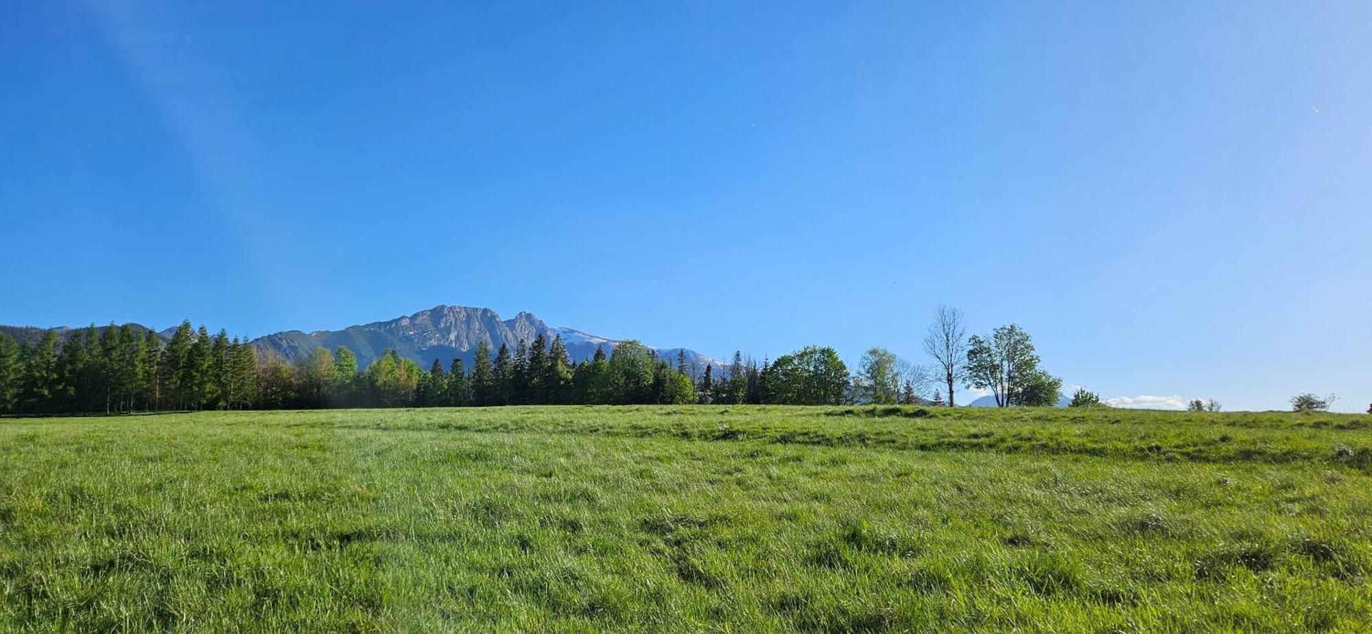 Apartamento Marol Wynajem Pokoi Zakopane Exterior foto