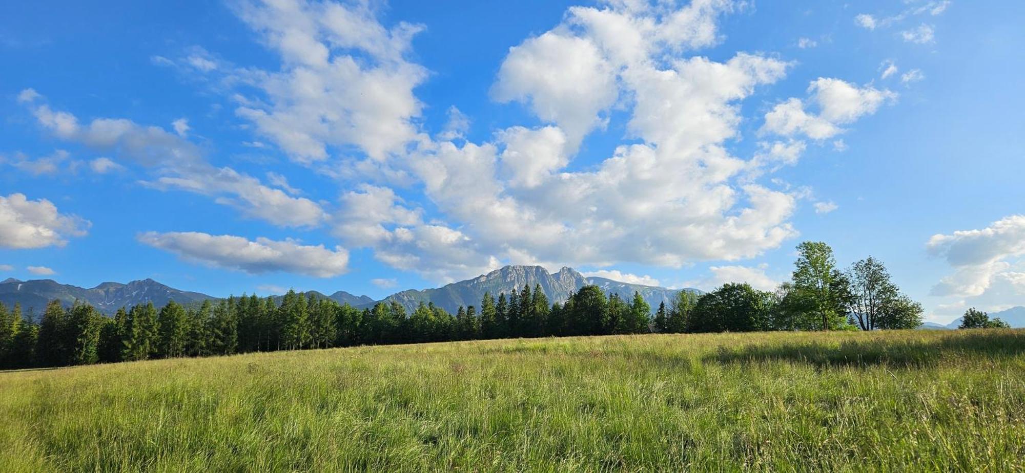 Apartamento Marol Wynajem Pokoi Zakopane Exterior foto